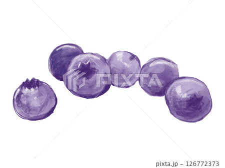 新鮮採れたてで美味しそうなブルーベリーの水彩イラスト 新鮮採れたてで美味しそうなブルーベリーの水彩イラスト 126772373