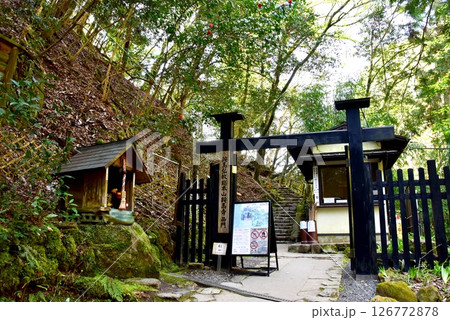 京都市 鞍馬寺西門と新緑 京都市 鞍馬寺西門と新緑 126772878