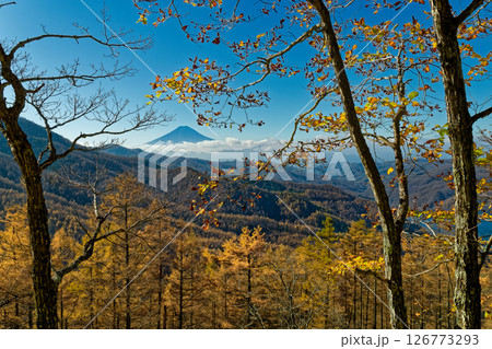 秋の大菩薩・石丸峠付近から見る富士山 秋の大菩薩・石丸峠付近から見る富士山 126773293