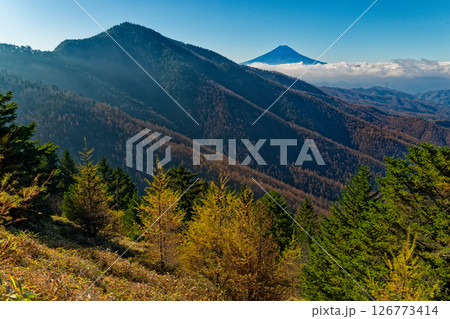 秋の大菩薩・石丸峠付近から見る富士山と小金沢山 秋の大菩薩・石丸峠付近から見る富士山と小金沢山 126773414