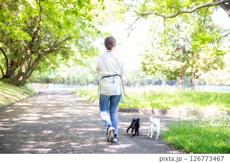 犬を散歩させる日本人女性の後ろ姿　 126773467