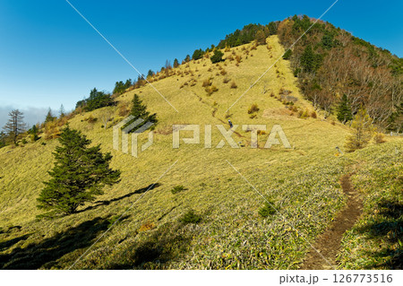 秋の大菩薩峠・石丸峠から見る熊沢山 126773516