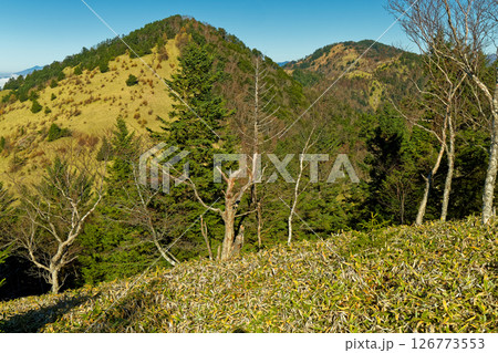 天狗棚山から見る熊沢山と大菩薩峠 天狗棚山から見る熊沢山と大菩薩峠 126773553