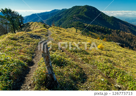 秋の大菩薩連嶺・天狗棚山から見る狼平と小金沢山 秋の大菩薩連嶺・天狗棚山から見る狼平と小金沢山 126773713