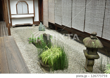 大徳寺塔頭 瑞峯院庭園 坪庭(京都市北区) 大徳寺塔頭 瑞峯院庭園 坪庭(京都市北区) 126773759