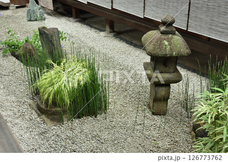 大徳寺塔頭　瑞峯院庭園　坪庭(京都市北区) 126773762