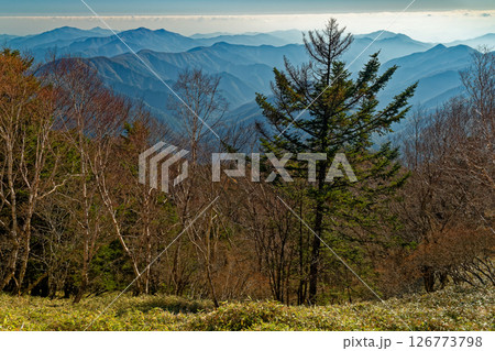 秋の大菩薩・天狗棚山から見る朝もやの奥多摩三山 秋の大菩薩・天狗棚山から見る朝もやの奥多摩三山 126773798