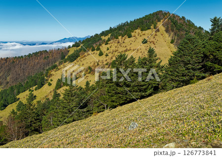 大菩薩連嶺・天狗棚山から見る熊沢山と八ヶ岳連峰 大菩薩連嶺・天狗棚山から見る熊沢山と八ヶ岳連峰 126773841