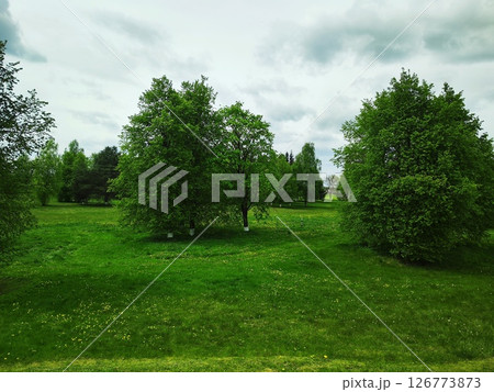 Green trees and green grass in public park with cloudy blue sky. Lush green landscape 126773873