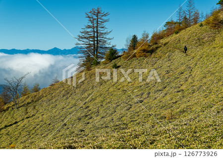 大菩薩連嶺・石丸峠の草原を行く登山者と雲上の南アルプス 126773926