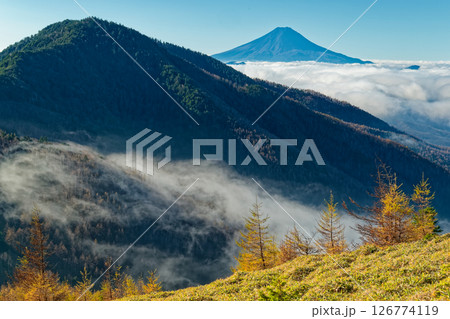 大菩薩連嶺・石丸峠から見る朝霧流れる狼平と小金沢山・富士山 大菩薩連嶺・石丸峠から見る朝霧流れる狼平と小金沢山・富士山 126774119