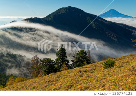 大菩薩連嶺・石丸峠から見る朝霧流れる狼平と小金沢山・富士山 大菩薩連嶺・石丸峠から見る朝霧流れる狼平と小金沢山・富士山 126774122