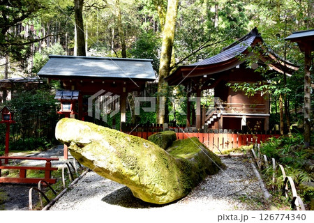 京都市　貴船神社中宮結社社殿と天乃磐船と新緑 126774340