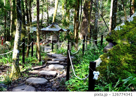 京都市　貴船神社中宮結社参道と新緑 126774341