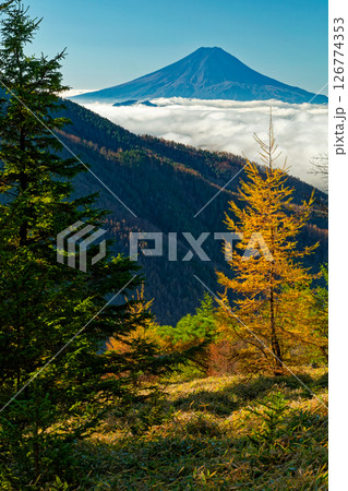 大菩薩連嶺・熊沢山から見る富士山 126774353