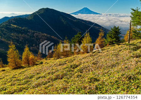 大菩薩連嶺・熊沢山から見る小金沢山と富士山 大菩薩連嶺・熊沢山から見る小金沢山と富士山 126774354