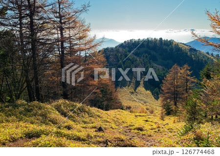 大菩薩連嶺・熊沢山から見る秋の石丸峠 大菩薩連嶺・熊沢山から見る秋の石丸峠 126774468