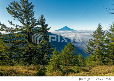 大菩薩連嶺・熊沢山から見る富士山 126774600
