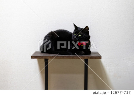 黒猫 126774737