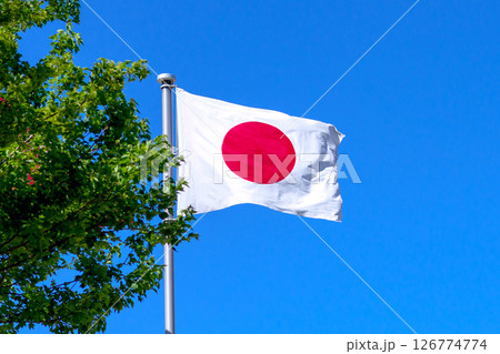 掲揚している日本国旗　新緑と青空　トリミングアップ 126774774