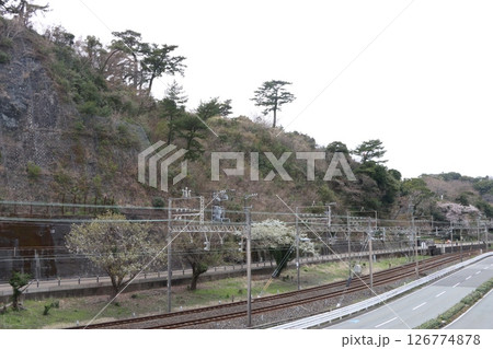 満開の桜の鳥羽城史跡と近鉄路線 126774878