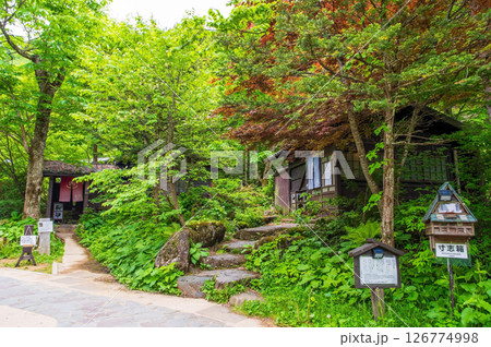 新緑の露天風呂『奥飛騨温泉郷・平湯温泉・平湯の湯』　 126774998