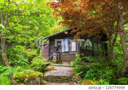 新緑の露天風呂『奥飛騨温泉郷・平湯温泉・平湯の湯』 新緑の露天風呂『奥飛騨温泉郷・平湯温泉・平湯の湯』 126774999
