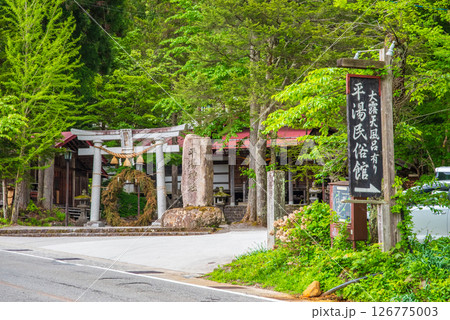新緑の平湯神社・平湯民俗館入口周辺風景　 126775003