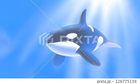 海の中のシャチ 126775139