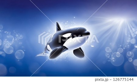 海の中のシャチ 126775144