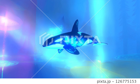 海の中のシャチ 126775153