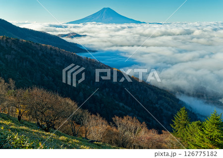 大菩薩峠付近から見る雲上の富士山 126775182