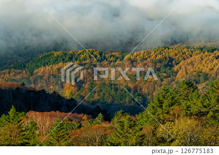 大菩薩峠から見る霧掛かる紅葉の山並み 126775183