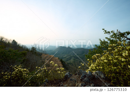 雨石山登山道からの眺め 126775310