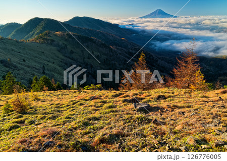 秋の大菩薩嶺稜線から見る早朝の富士山 126776005