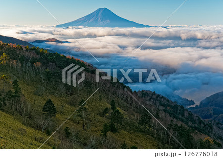 秋の大菩薩稜線から見る朝の富士山 秋の大菩薩稜線から見る朝の富士山 126776018
