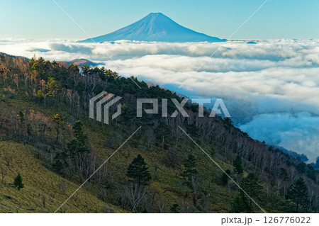 秋の大菩薩稜線から見る雲上の富士山 秋の大菩薩稜線から見る雲上の富士山 126776022