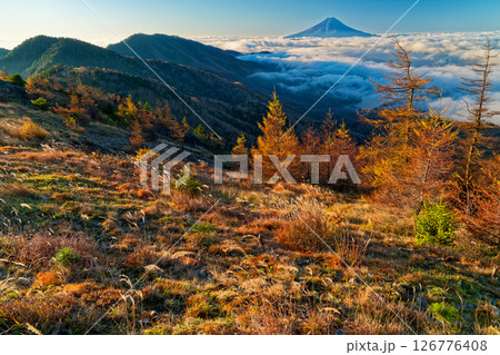 朝の大菩薩嶺から見る雲海と富士山 126776408