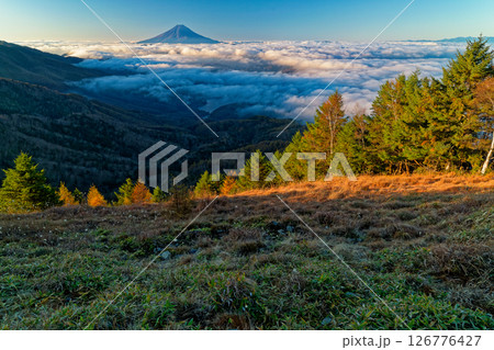 朝の大菩薩嶺から見る雲上の富士山 朝の大菩薩嶺から見る雲上の富士山 126776427
