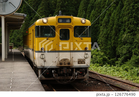 新緑の森をバックに駅に停車しているローカル線の列車 新緑の森をバックに駅に停車しているローカル線の列車 126776490