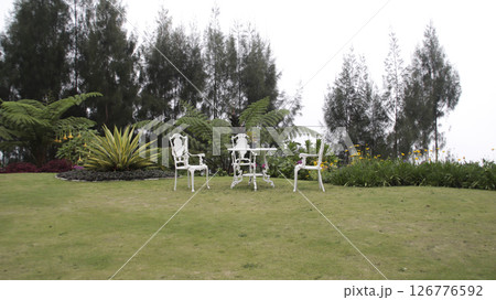 White wrought iron chairs and round table with a potted plant set on a grassy lawn surrounded by lush green plants vibrant yellow flowers and tall pine trees under a cloudy sky White wrought iron chairs and round table with a potted plant set on a grassy lawn surrounded by lush green plants vibrant yellow flowers and tall pine trees under a cloudy sky 126776592