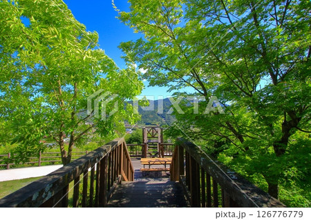 緑が美しい5月の龍王山総合公園 (東広島市黒瀬町) 126776779