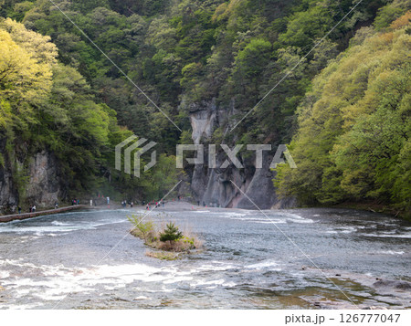 雪解け水で水量が多い日本のナイアガラの滝 雪解け水で水量が多い日本のナイアガラの滝 126777047