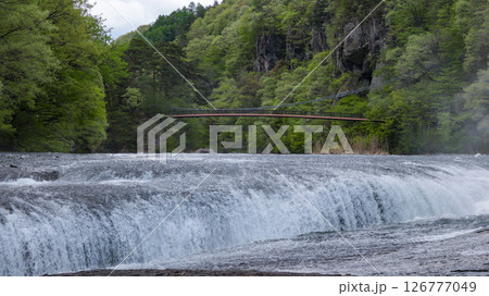 雪解け水で水量が多い日本のナイアガラの滝と吊り橋 雪解け水で水量が多い日本のナイアガラの滝と吊り橋 126777049