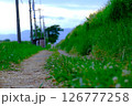 散歩道の足元 126777258