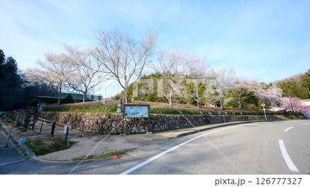 西谷の森公園 126777327