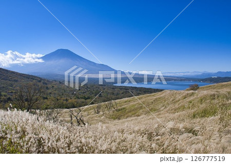 【山梨県】山中湖パノラマ台から眺める富士山 【山梨県】山中湖パノラマ台から眺める富士山 126777519