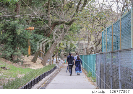 March 27 2025 People Walking on a Path Amidst a Park with Trees, Japan March 27 2025 People Walking on a Path Amidst a Park with Trees, Japan 126777897