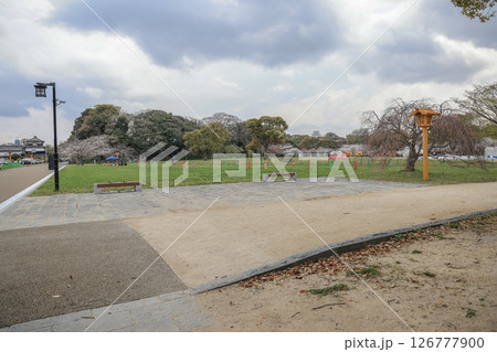 March 27 2025 Featuring Pathways, Benches, and Springtime Blossoming Trees, Japan March 27 2025 Featuring Pathways, Benches, and Springtime Blossoming Trees, Japan 126777900
