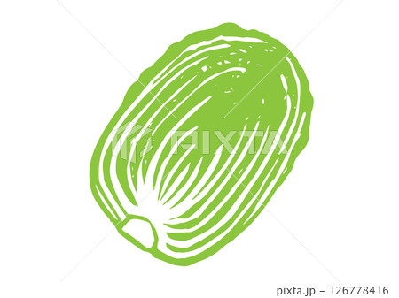 レトロな手書きの野菜イラスト、輪切りの白菜 126778416